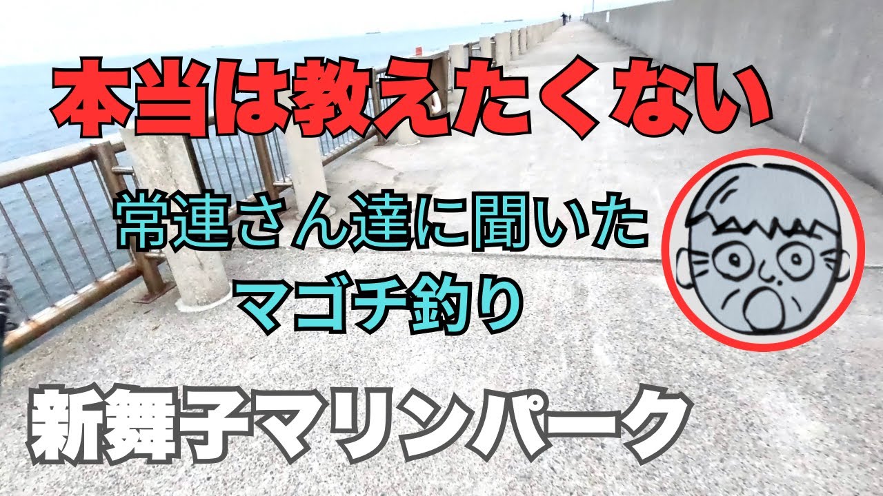 新舞子マリンパーク　本当は教えたくない、常連さん達に聞いたマゴチ釣り　2025.4.20