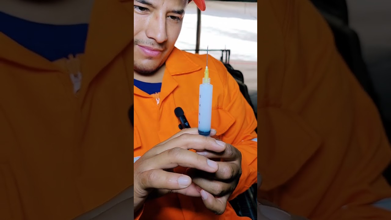 Te enseño a vacunar contra CIRCOVIRUS PORCINO 🐷🦠💉