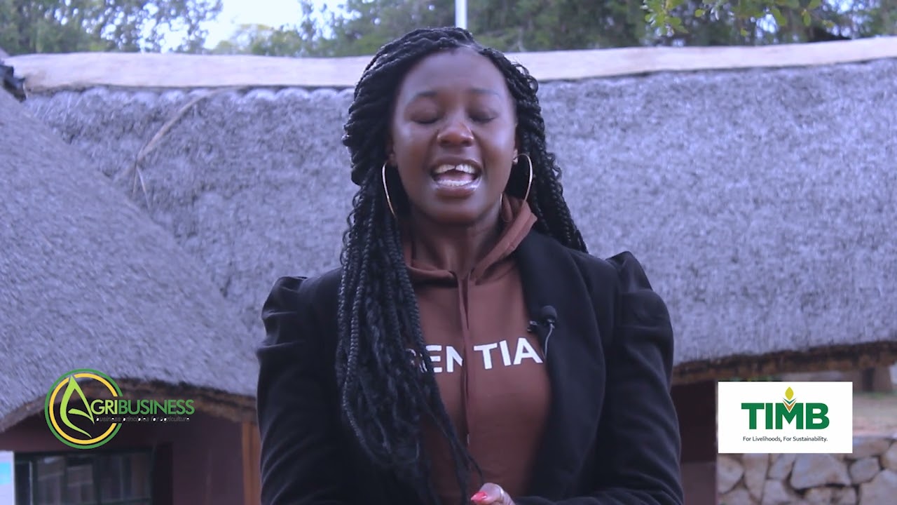 SUSTAINABILITY IN TOBACCO Production