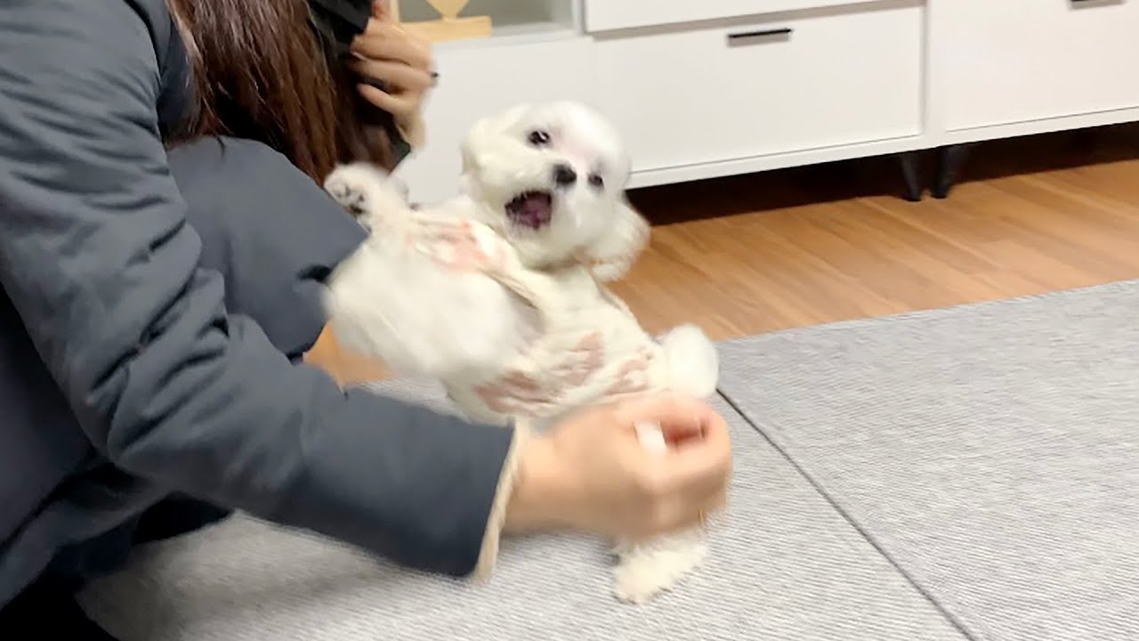 엄마를 이틀만에 만났을때