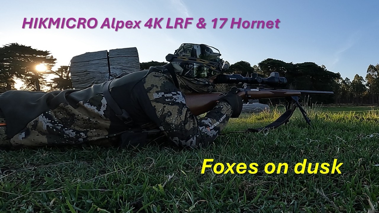 Лисы на закате - HIKMICRO Alpex 4K LRF & CZ 527 17 Hornet