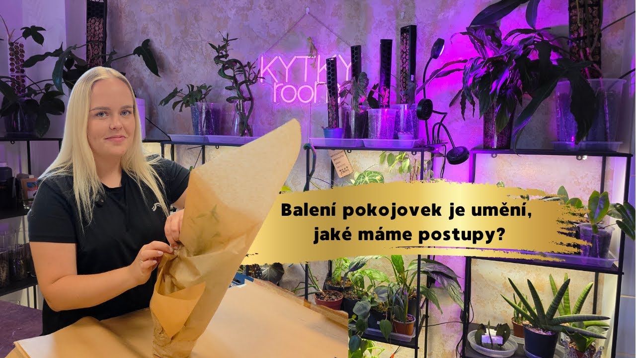 Romča balí balíčky: co všechno zažije pokojovka, než dorazí k vám?