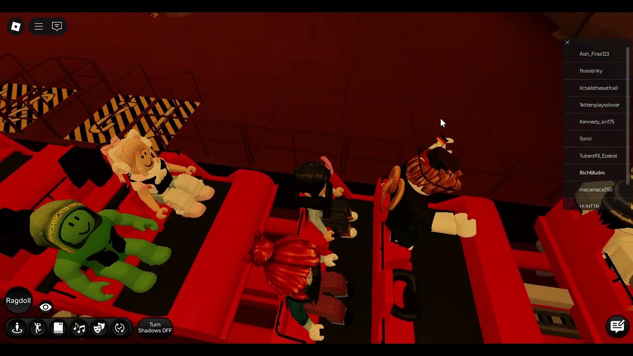 The roller coaster incident...