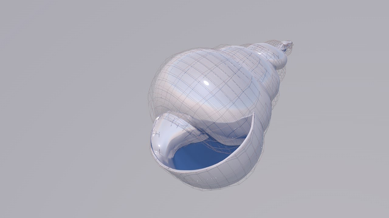 Shell modeling in Cinema 4D tutorial