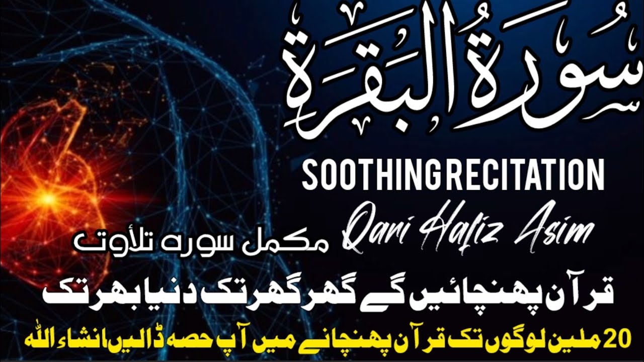 Surah Al-Baqarah Full (سورة البقرة) | Ultimate Most Beautiful Heart Melting Quran #baqarah