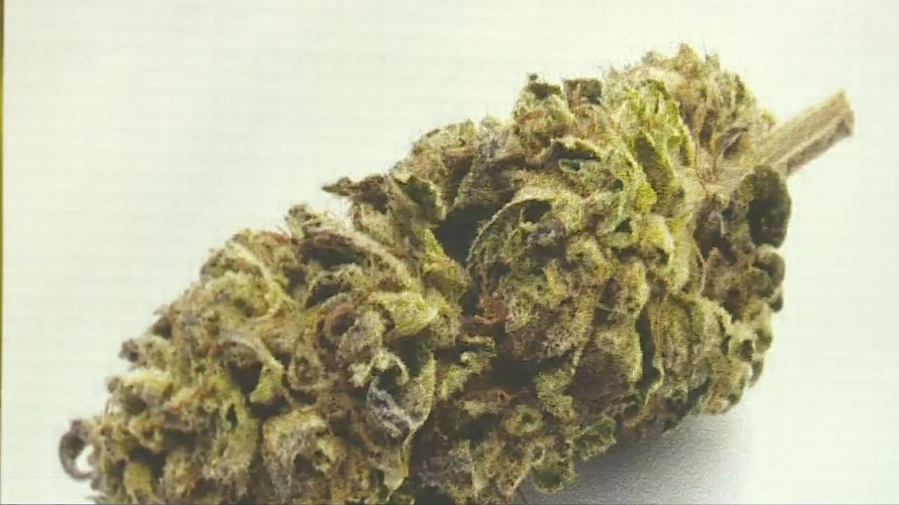 Legal Cannabis Growers Get Showcase At 2022 California State Fair