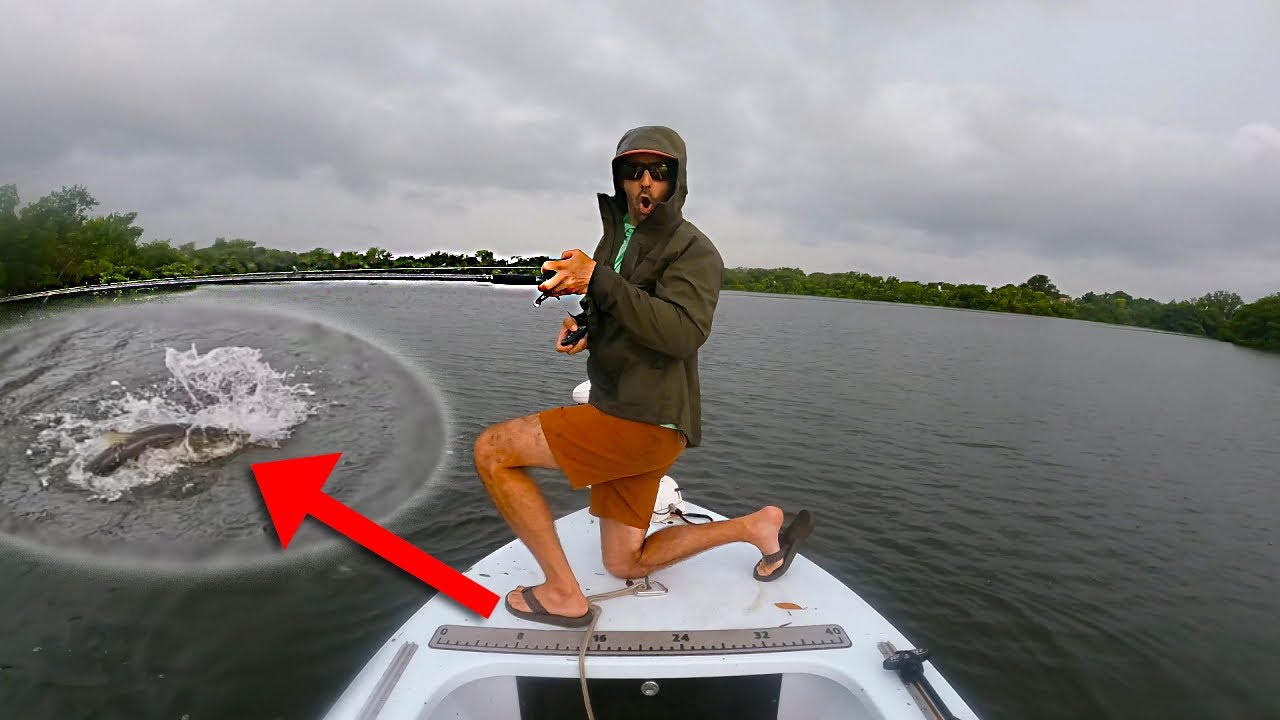 Tampas Largest SNOOK?!!!!