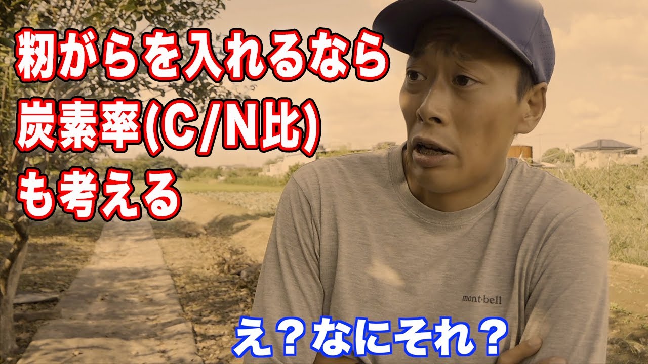 籾がらを入れるなら窒素が必要!?詳しく解説します　炭素率C/N比の話