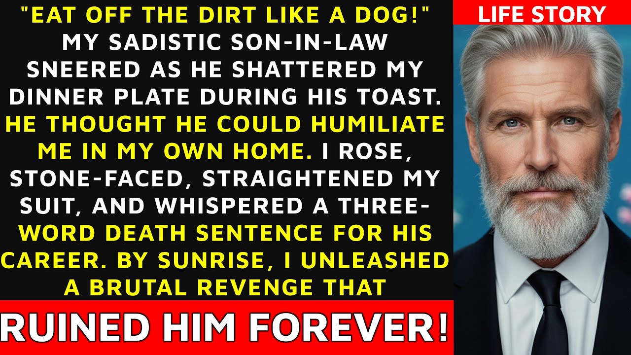 After Knocking My Plate Down, My Son-In-Law Mocked Me 'If You Want Dinner, Lick It Off the Floor!'