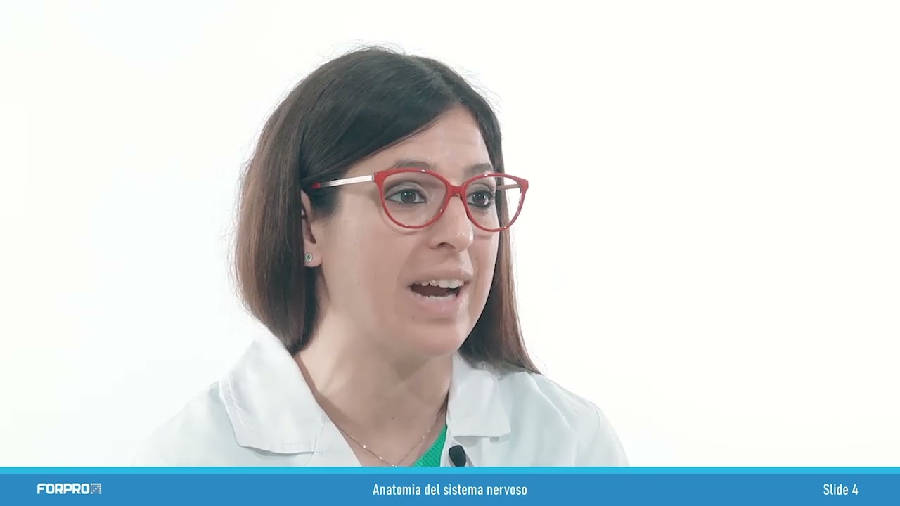 Corso sulla gestione del paziente con tetra o paraplegia - LEZIONE 1 - Corso OSS