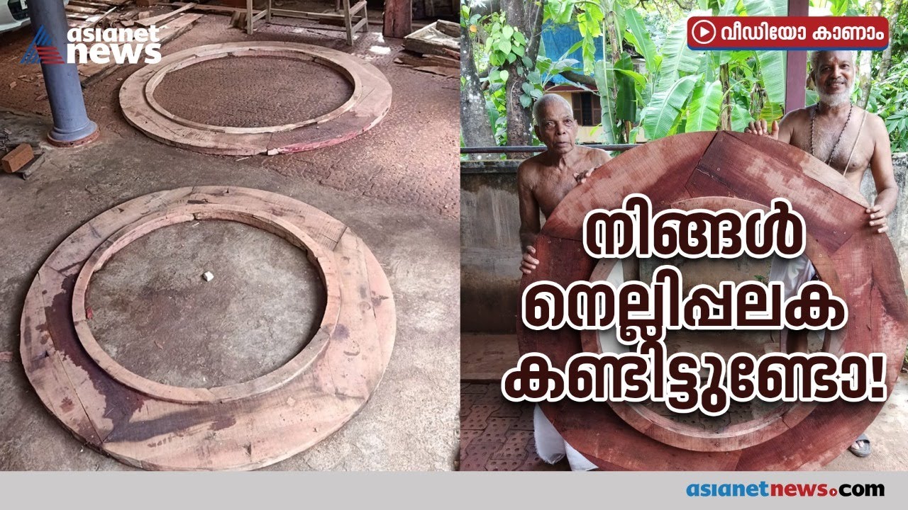 ഇത് ക്ഷമയുടെ നെല്ലിപ്പലകയല്ല, ശരിക്കും നെല്ലിപ്പലക! | Nelli Palaka