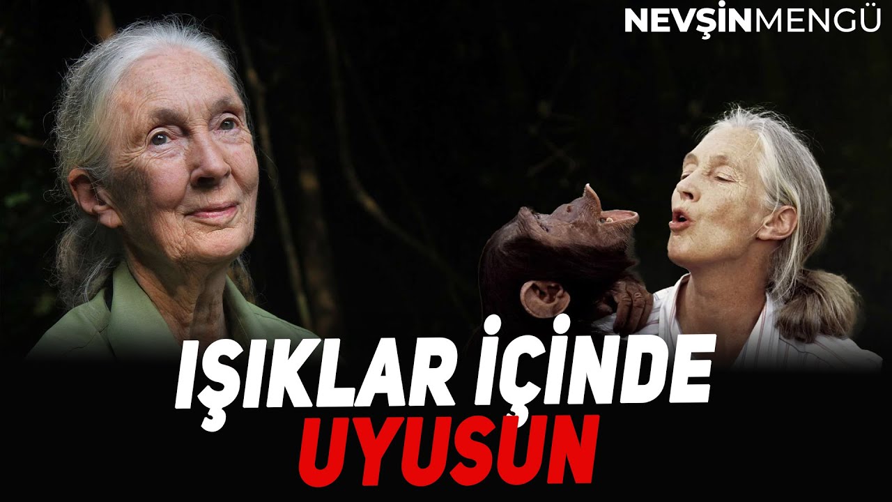 Şempanzelere Fısıldayan Kadın Jane Goodall | Nevşin Mengü - Cansu Şimşek