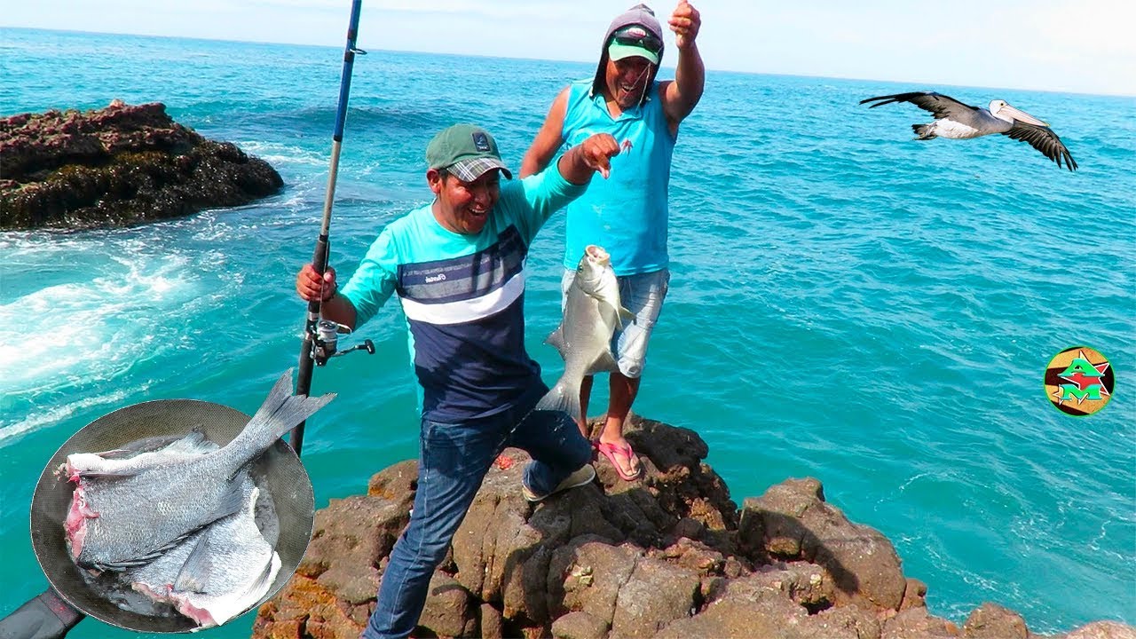 PESCA DE PECES GRANDES CON ANZUELO y con CANGREJO ROJO en el MAR - PESCA Y COCINA