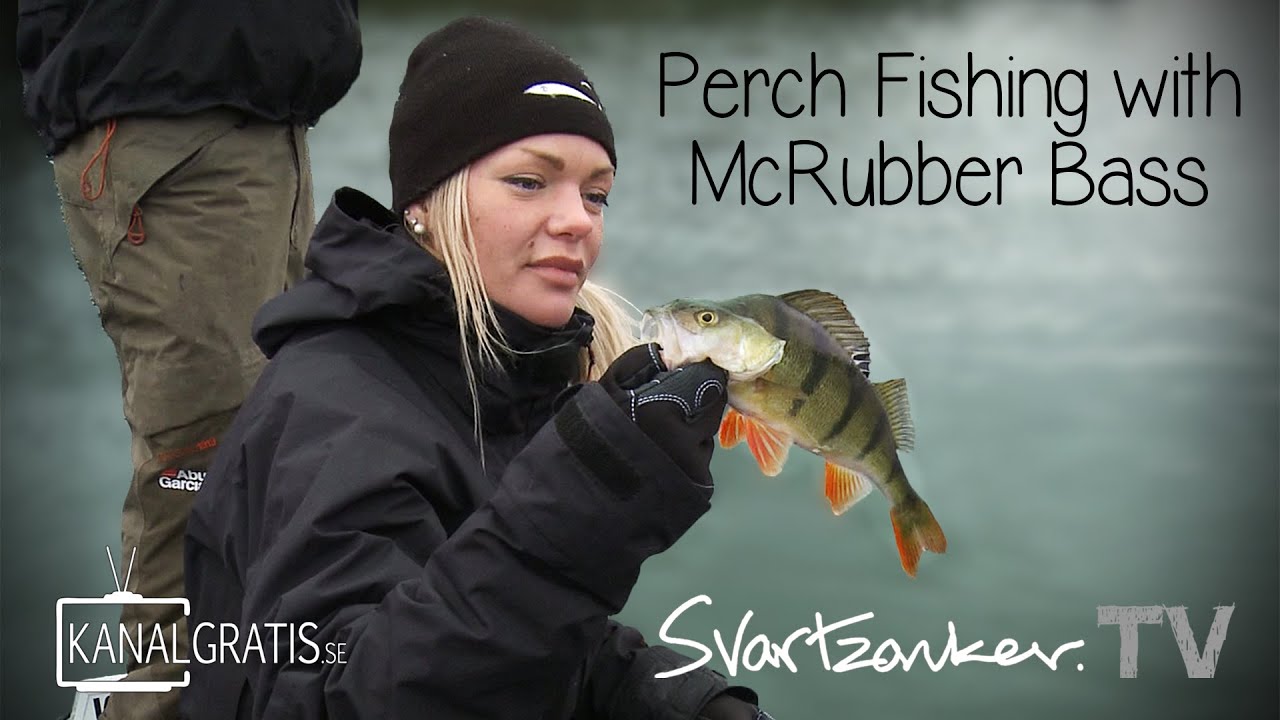Svartzonker TV - Perch Fishing with McRubber Bass ft. Evelina Henriksen & Claes Claesson