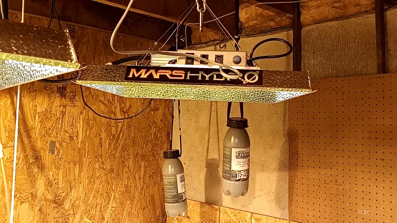 growing under Mars hydro lights, comparing the TSW 2000, TSL 2000, and ts 1000