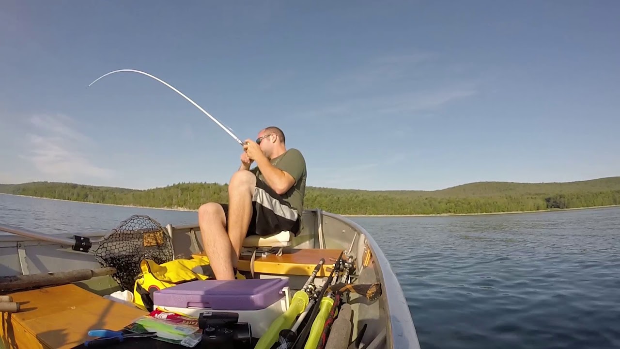 Ryan's First Lake Trout+Tips!!! (Quabbin Reservoir)