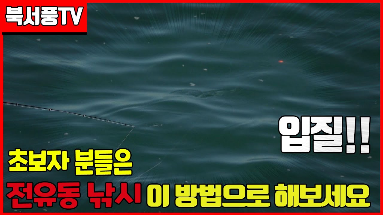 초심자분들!! 전유동 낚시가 어렵다면 이방법을 써보세요