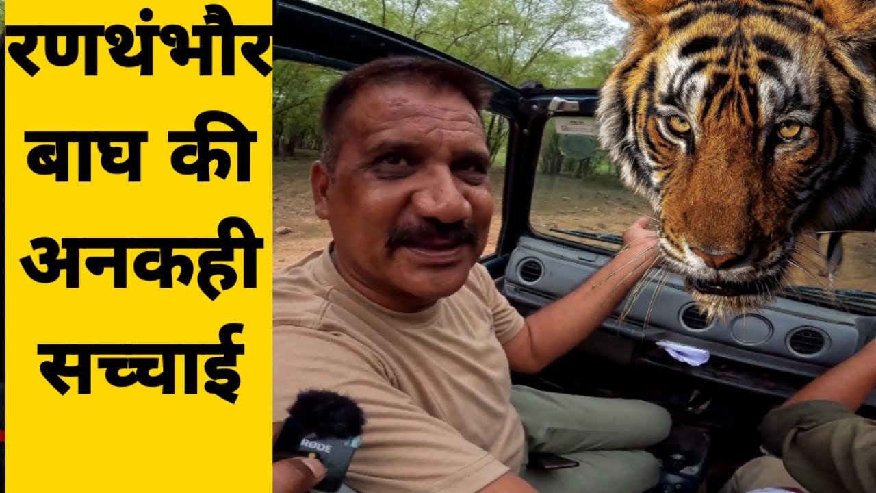 Ranthambore National Park | Zone 3 Tiger safari |  Facts about Tigers | Ranthambore tiger reserve