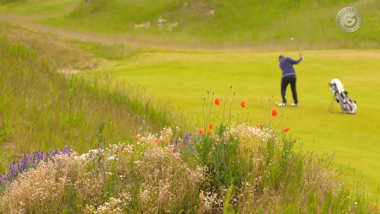 Der Golfplatz - nat&uuml;rlich artenreich!