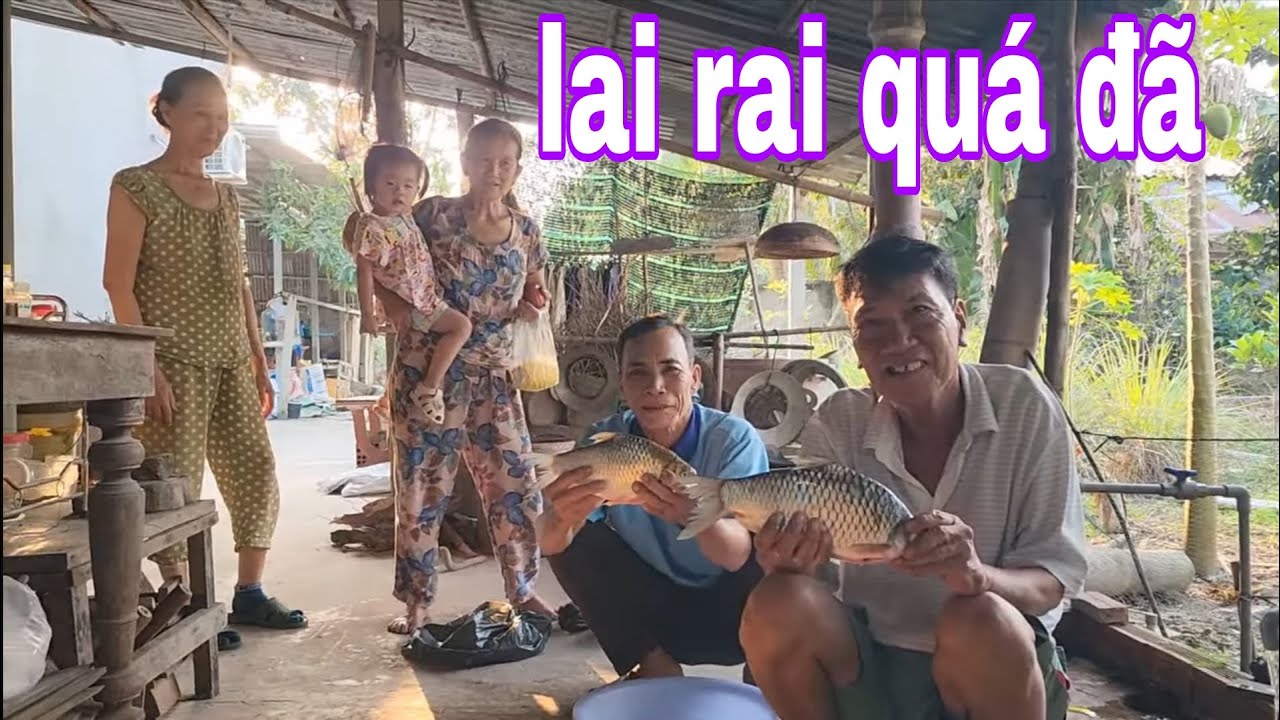 Cá Mè Vinh Khổng Lồ Kho Nước Dừa Ăn Kèm Với Rau Má Quá Ngon # SĂN BẮT ĐỒNG THÁP #