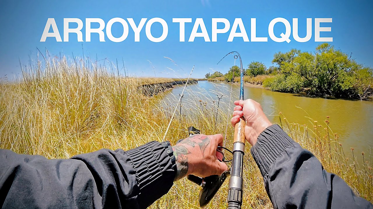 Tradición y PESCA en el campo: cocina de bagres frescos y asado a la orilla del arroyo Tapalqué
