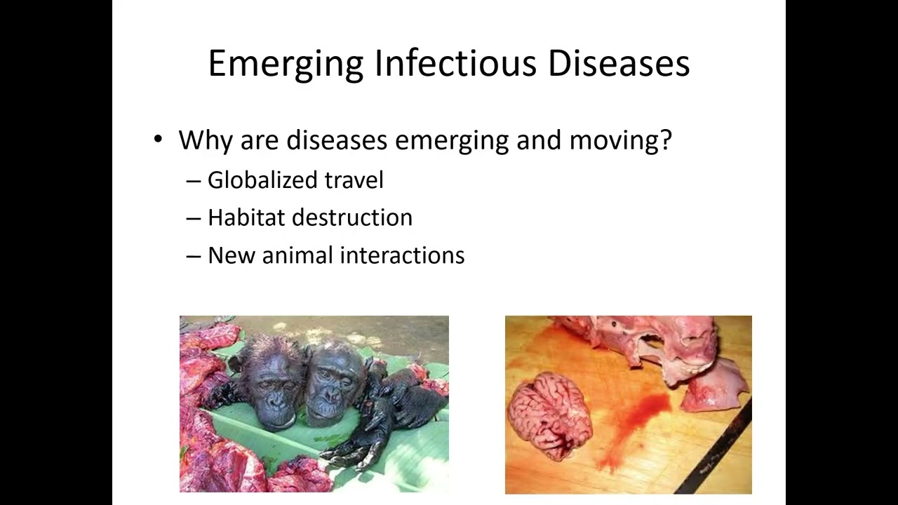 Unit 1, part 6: Microbes and You, Emerging Infectious Diseases