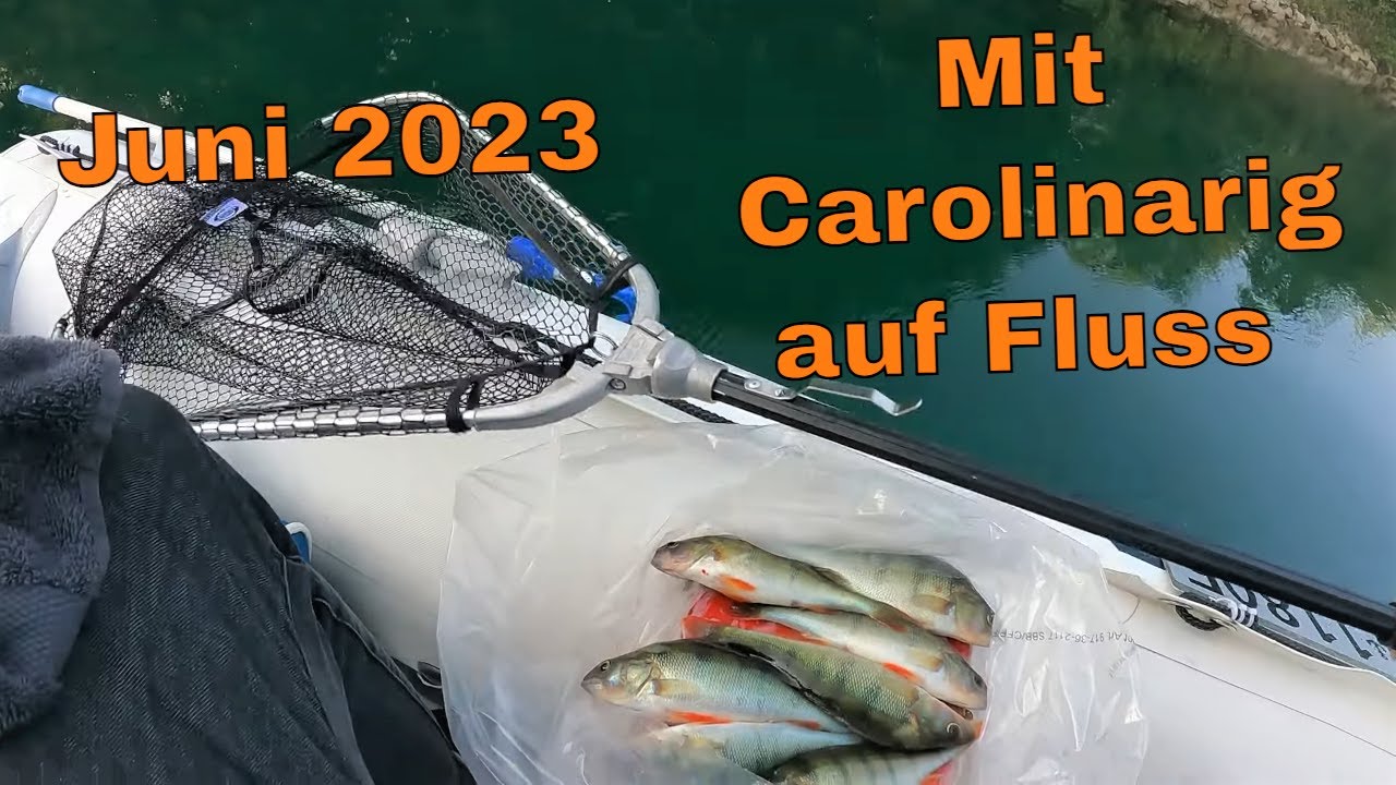 Egli mit Carolinarig am Fluss vom Boot | detaillierte Anleitung