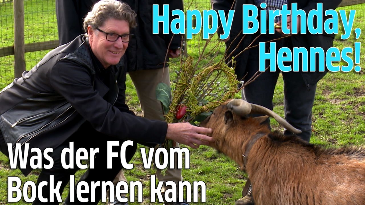 1. FC K&ouml;ln: Gei&szlig;bock Hennes VIII hat Geburtstag! Tony Schumacher gratuliert im K&ouml;lner Zoo