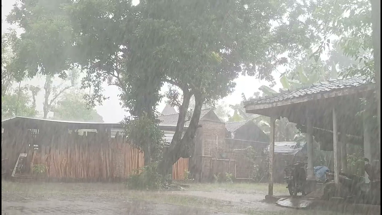 Real Rain on Village Roof 🌧️ Let Go of Overthinking | Authentic Shingle Rain for Calm Mind