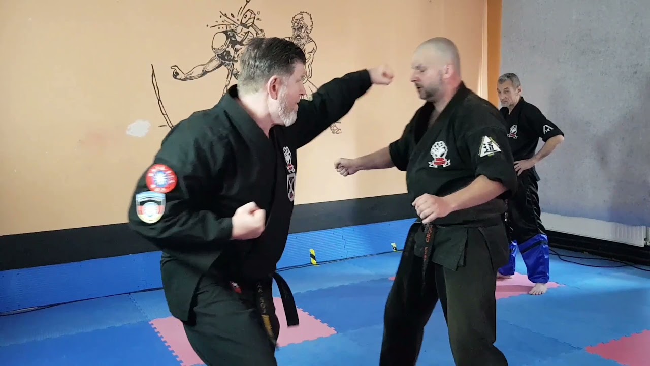 impressionen vom Onlineseminar mit Hanshi Toni Finken-Schaffrath 2021