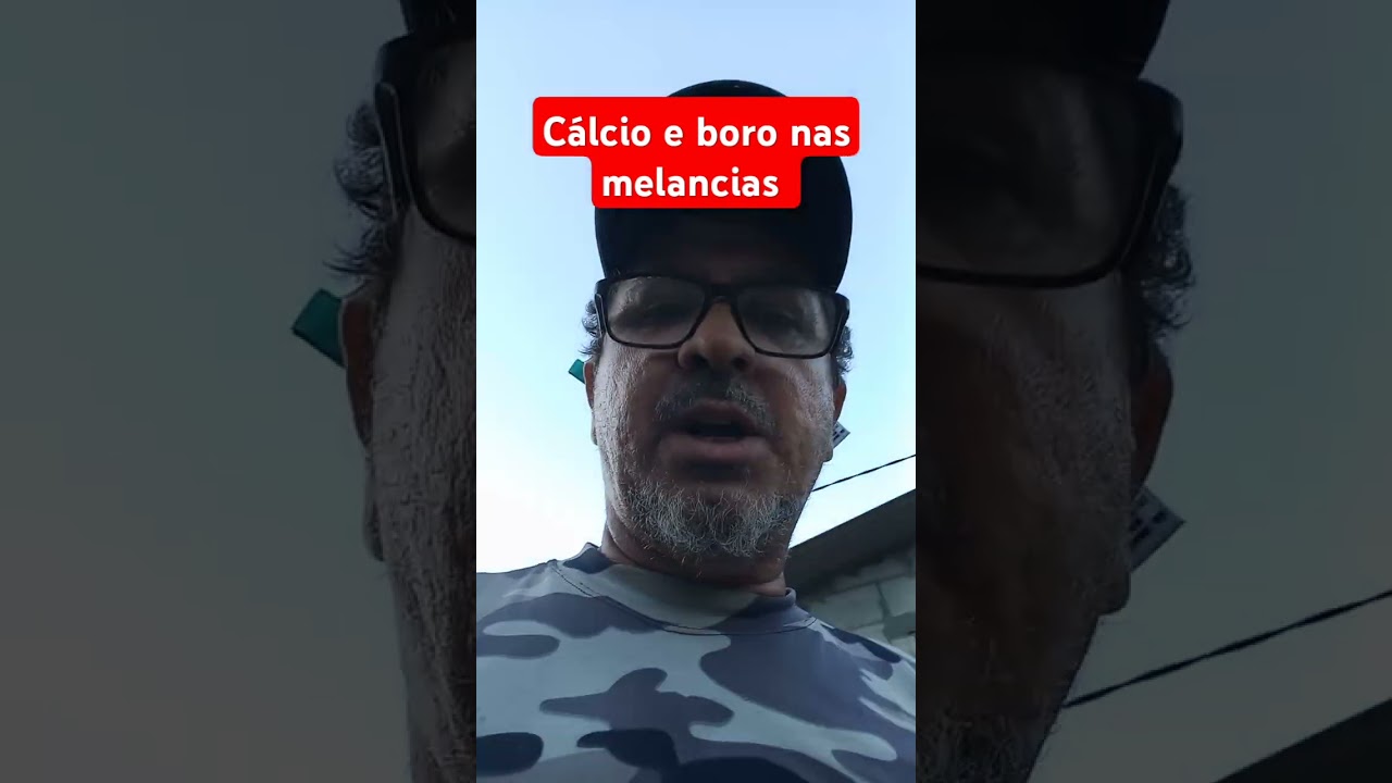 Pulveriza&ccedil;&atilde;o de c&aacute;lcio e boro nas melancias.                                 #morangos #melancias