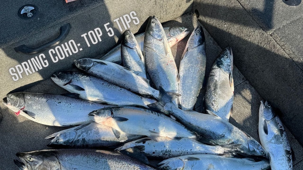 How to: SPRING COHO - 5 keys to success  - Lake Michigan