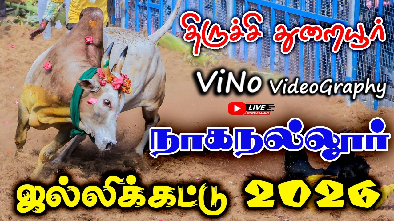 திருச்சி நாகநல்லூர் ஜல்லிக்கட்டு 2026 | Trichy NaganallurJallikattu 2026 || ViNo Videography Live 🔴