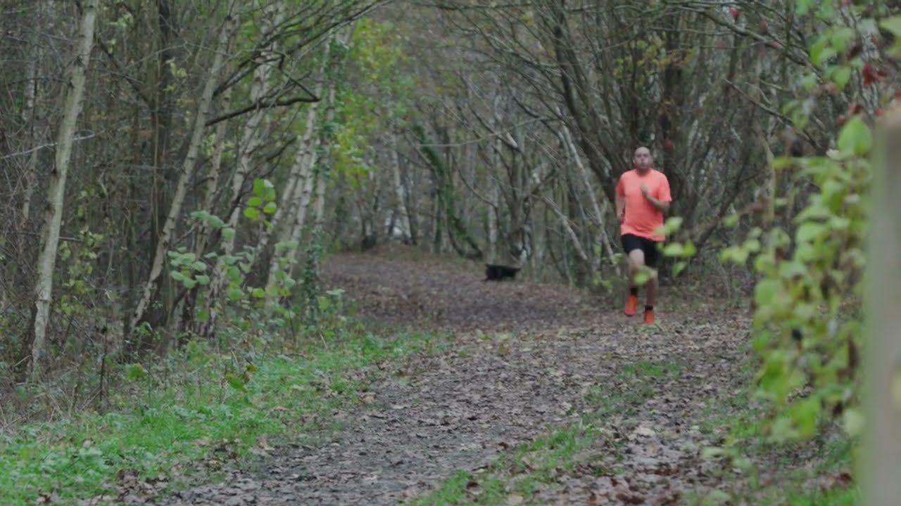 Parc Gwledig Bonc yr Hafod / Bonc yr Hafod Country Park