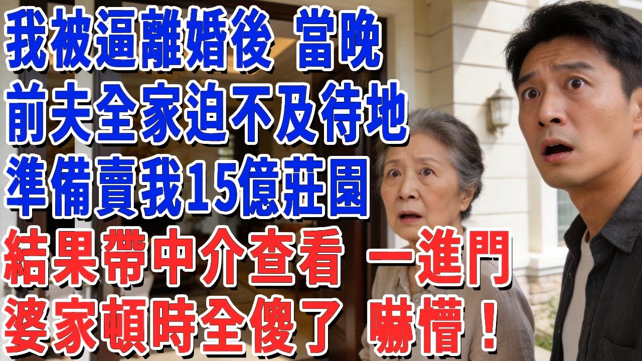 我被逼離婚後 當晚前夫全家迫不及待地，準備賣我15億莊園，結果帶中介查看 一進門，婆家頓時全傻了 嚇懵！#妮妮故事會 #情感故事 #老年生活