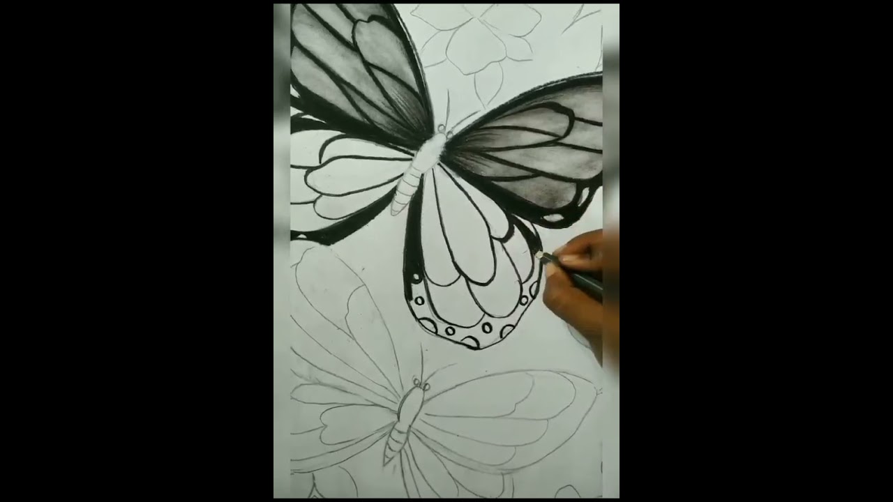 Butterfly Drawing ✨✨✏️✏️.. charcoal drawing 🦋🦋✨✨