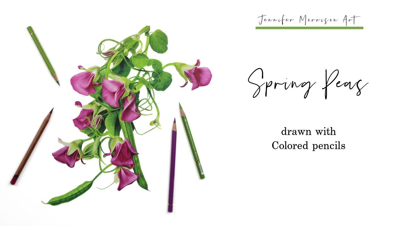 Drawing Spring Peas with Colored Pencils