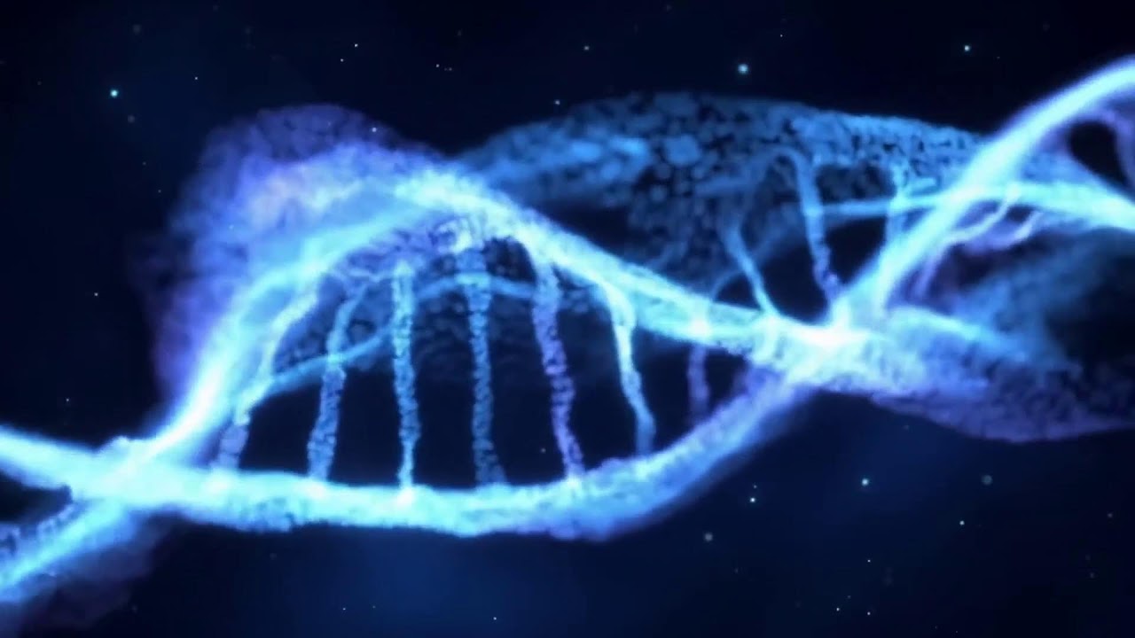MOST POWERFUL HEALING FREQUENCY | 432Hz + 528Hz + 1111 Hz | Whole Body Regeneration