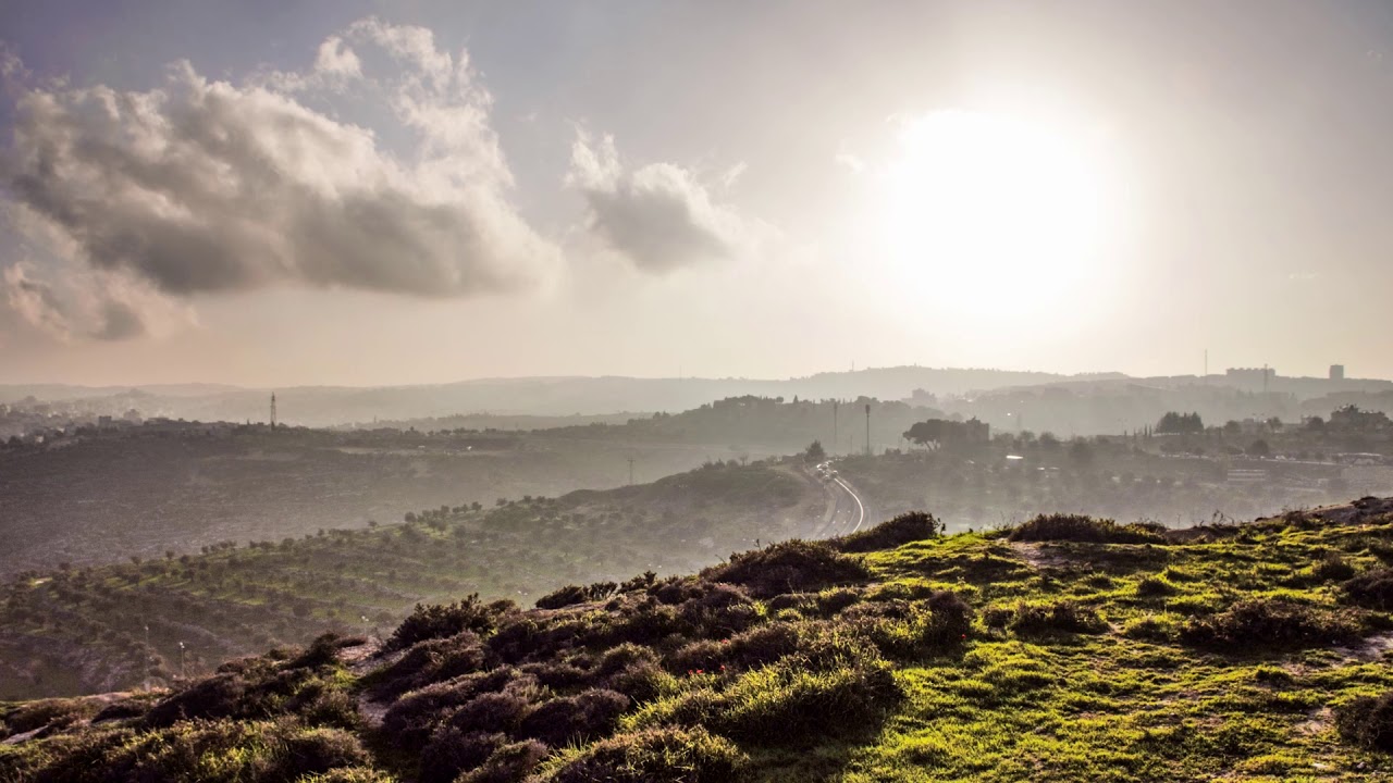 תהילים ליום רביעי