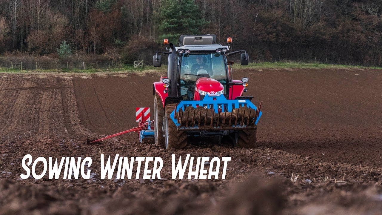 Sowing Winter Wheat - McCracken