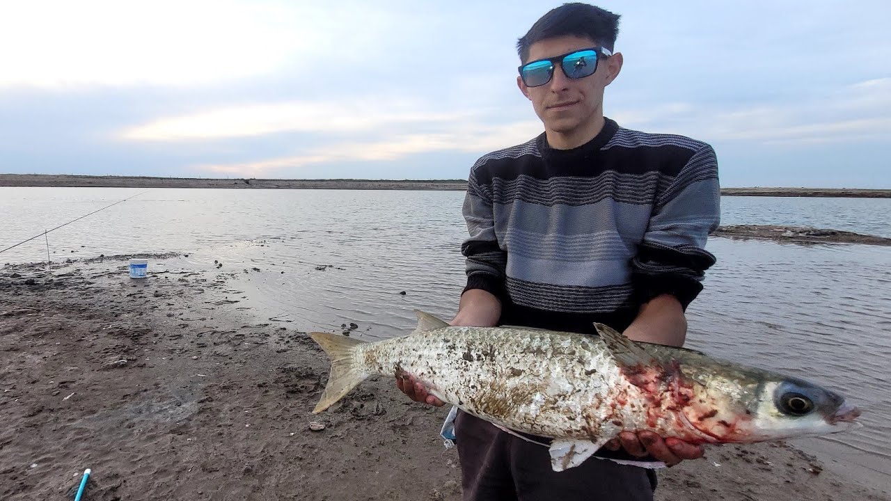PESCA DE LISAS GIGANTES EN EL RIO SALADO 🔥