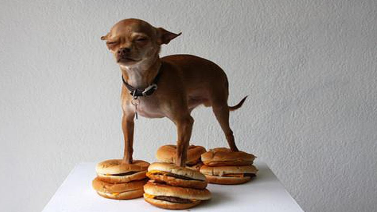 09. Kuba Knap - Proponuję życie gościnnie Bleiz, Zioło, Mada, Dj. Prox - Bez nerwów, bez złudzeń