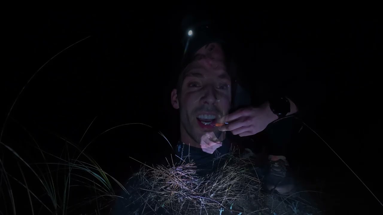 Camping BudBud