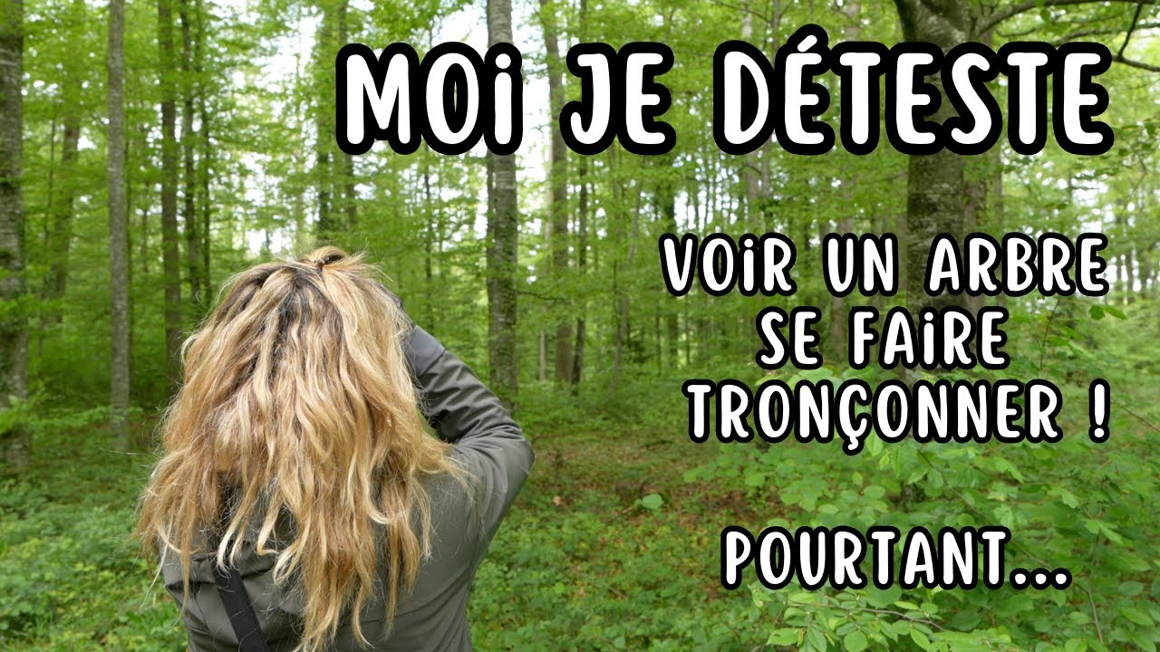 65.   JE DETESTE voir un ARBRE se faire tronçonner, pourtant...🌳🌲 Interview avec un forestier