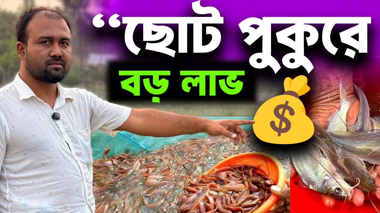কম খরচে লাভজনক মাছ চাষ 🐟 | ছোট পুকুরে শিং, টেংরা, গুলশা, মাগুর, তারাবাইন চাষ