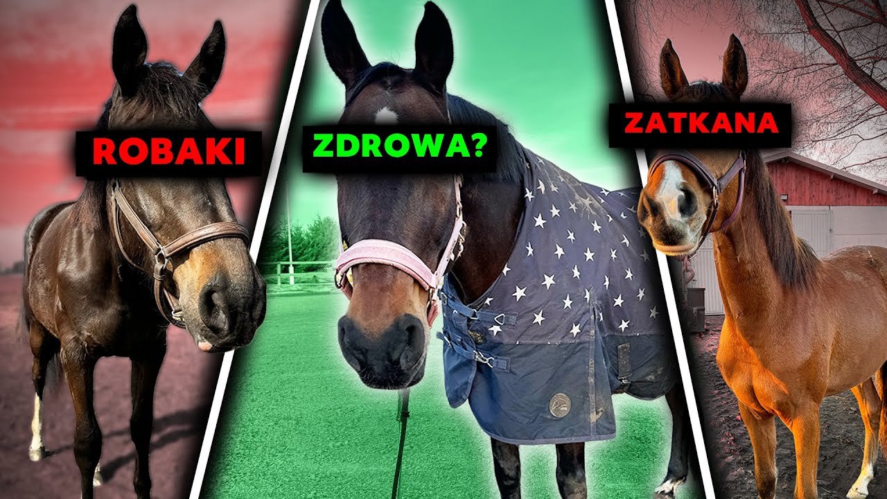 KONTROLA DILI W KLINICE | Lovka się dusiła | Byłam w szpitalu