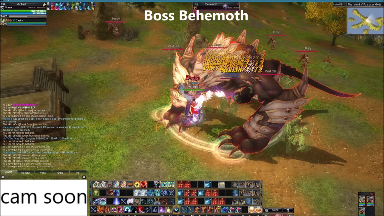 Rappelz Slayer op dmg / Island of forgotten gods / Archfell