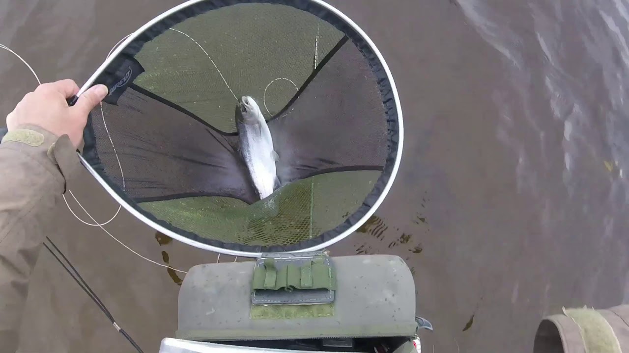 24hr Fly Fishing Fest @ Half Term - Wild Brown Trout & Rainbow on the Dry Fly