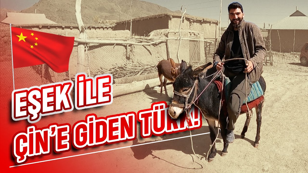 Eşek İle Dünya Turu Başlıyor! 100$'a Eşek Satın Aldım!