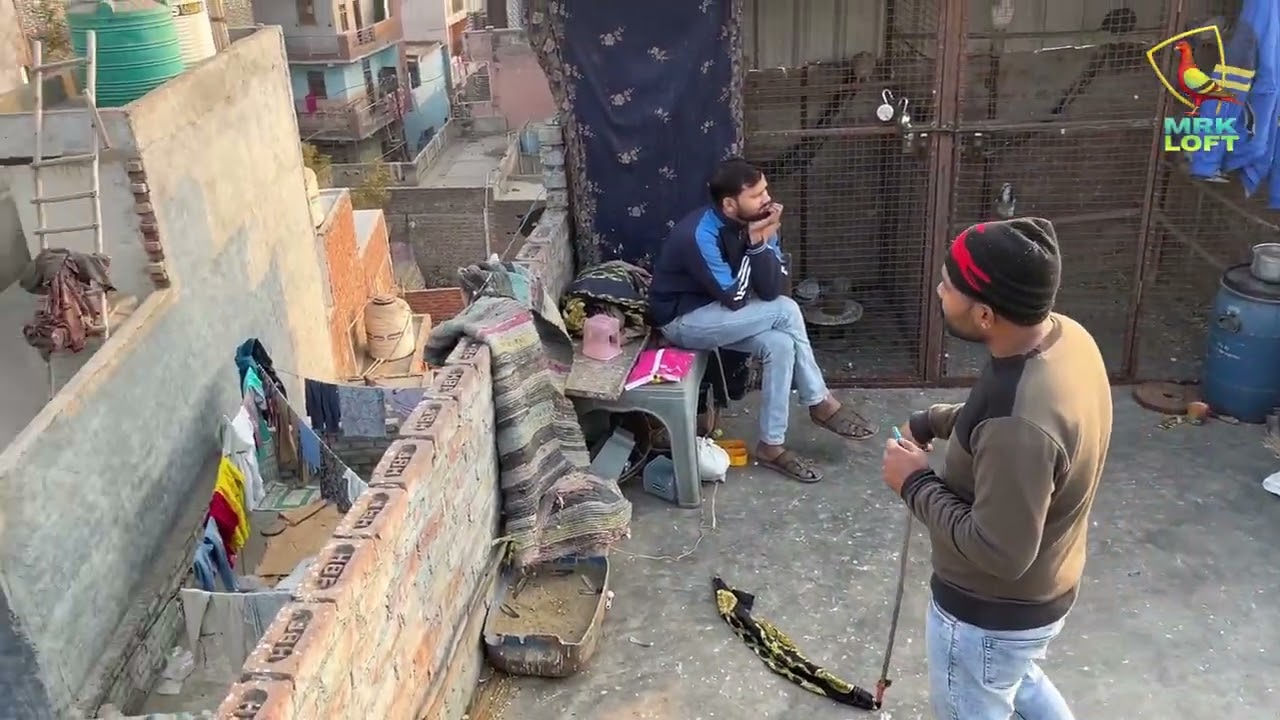 Aaj Kali Chandni Kabootri Bagh Gayi MRK loft Se
